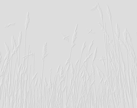 dp-0375_3d_1786701719-c20f6eaab3730c899c9a78ced6bbd34c.jpg