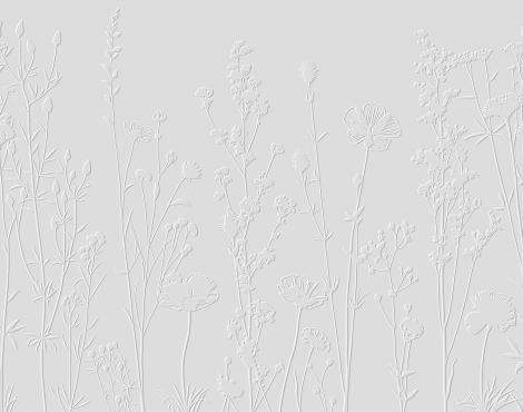 dp-0393_3d_1786709280-92fb36fff6874dacbe9aee5f4b24891e.jpg