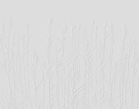 dp-0395_3d_1786709312-f24fd9ae13359c44a062209bc7f2b4a8.jpg