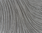 paintable-catalogue-close-up-13_1776859657-6003d3923056df6d072283ed80cc8b0f.png