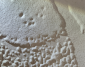paintable-catalogue-close-up-18_1779099237-11f18af42217c101f0ccdf705501d318.png