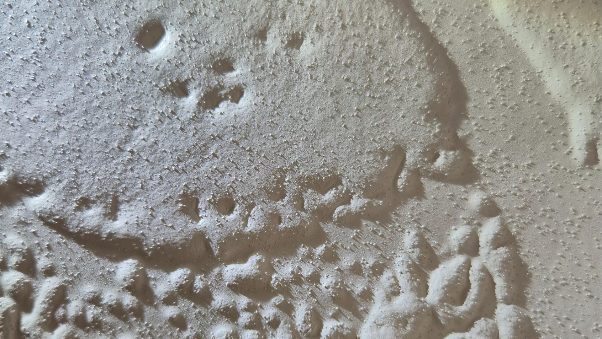 paintable-catalogue-close-up-18_1779099237-23566b979c35d41e39af16623c5caf8d.png